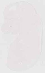 EMAGE:13304