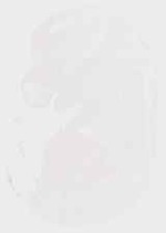 EMAGE:13309