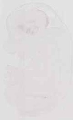 EMAGE:13359