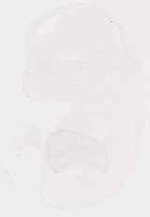 EMAGE:13430