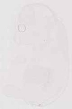 EMAGE:13511