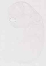EMAGE:13558