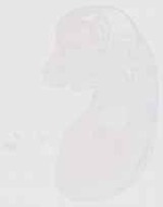 EMAGE:13569
