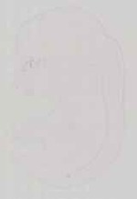EMAGE:13581