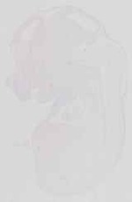 EMAGE:13650