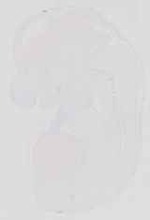 EMAGE:13650