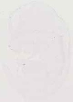 EMAGE:13750