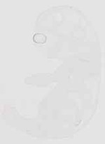 EMAGE:13826