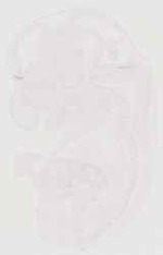 EMAGE:13837