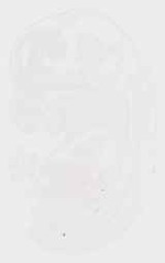EMAGE:13838