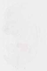 EMAGE:13840