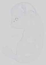 EMAGE:13872