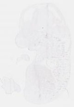 EMAGE:13949