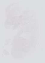 EMAGE:13984