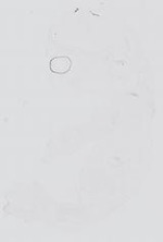 EMAGE:13996