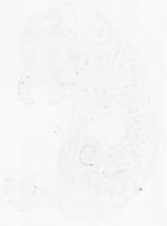 EMAGE:14015