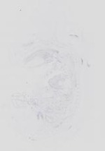 EMAGE:14065