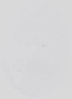 EMAGE:14079