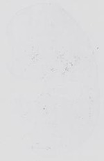 EMAGE:14114
