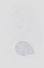 EMAGE:14128