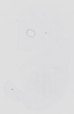 EMAGE:14128