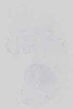 EMAGE:14152