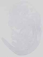 EMAGE:14158