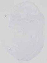 EMAGE:14161