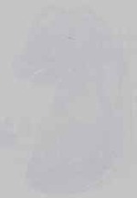 EMAGE:14211