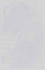 EMAGE:14221
