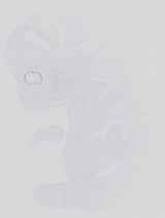 EMAGE:14224