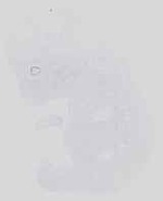 EMAGE:14224