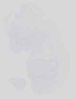 EMAGE:14224