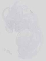 EMAGE:14224