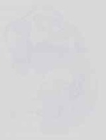 EMAGE:14224