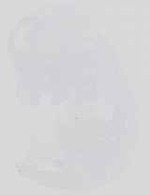 EMAGE:14224