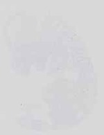 EMAGE:14224