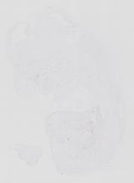 EMAGE:14226