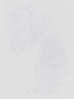 EMAGE:14226