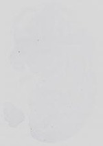 EMAGE:14233