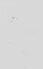 EMAGE:14234