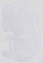 EMAGE:14249