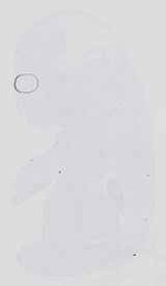 EMAGE:14251