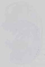 EMAGE:14285