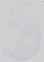 EMAGE:14285