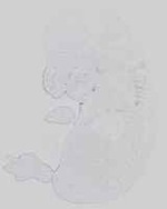 EMAGE:14296