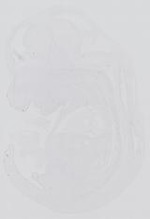 EMAGE:14314