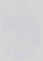 EMAGE:14329