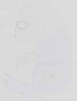 EMAGE:14330