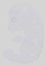 EMAGE:14331